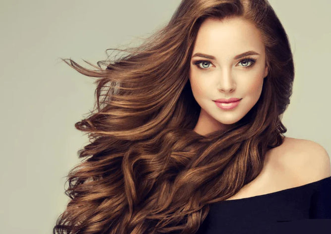 Olympia OE-X9 hair dryer with high-speed airflow and advanced heat control